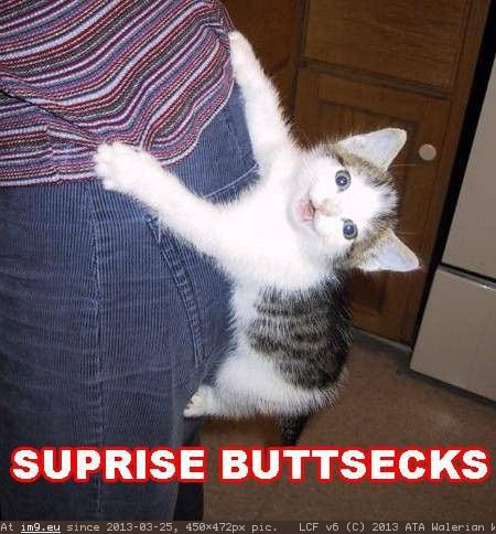 alex neri recommends surprise buttsex pic