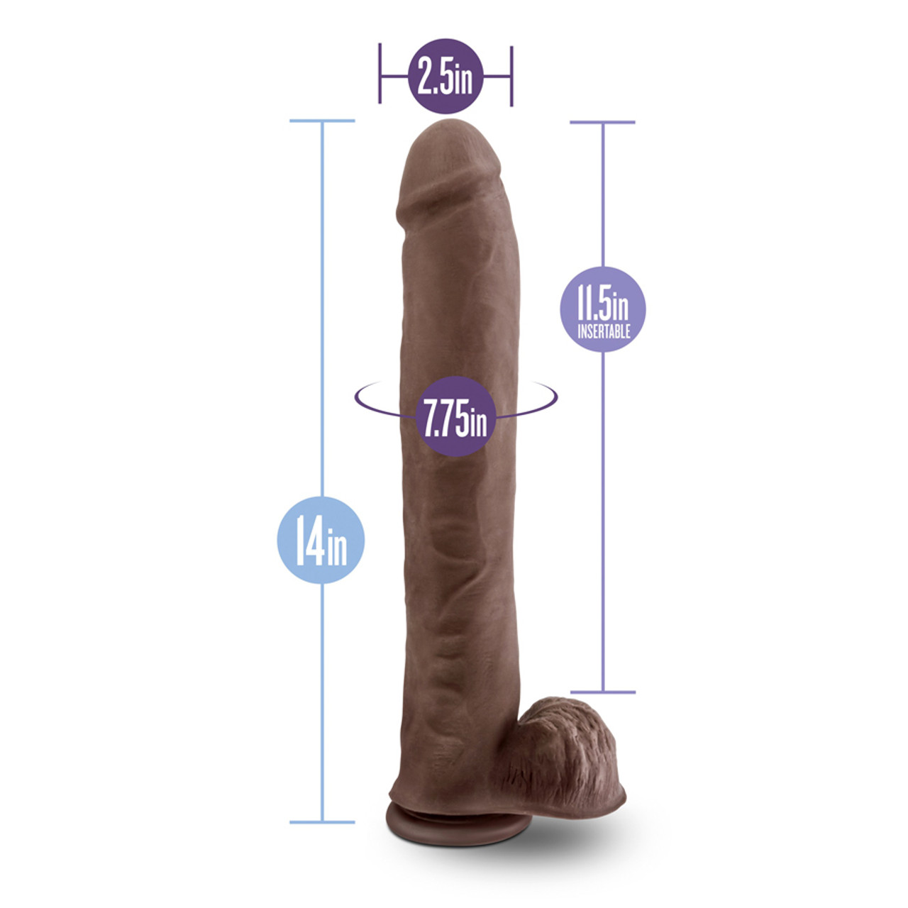 austine etcheverry add 14 inch dildo photo