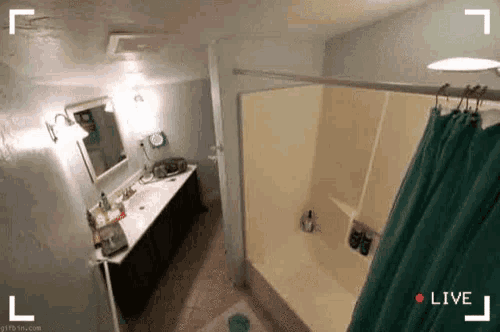 Best of Live toilet cam