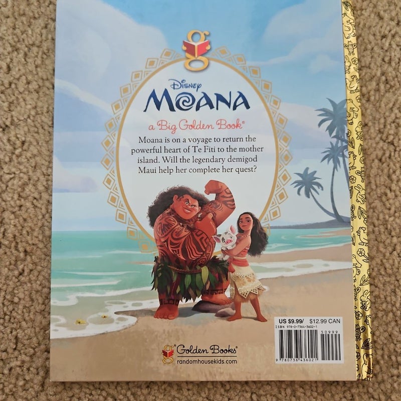 devin potter recommends moana mendez pic