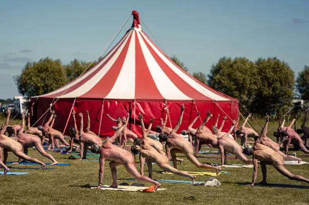 Music Festival Nude at phone