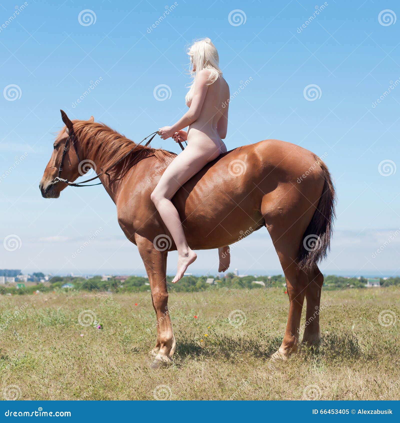 becky vidal recommends Nude Women Riding Horses