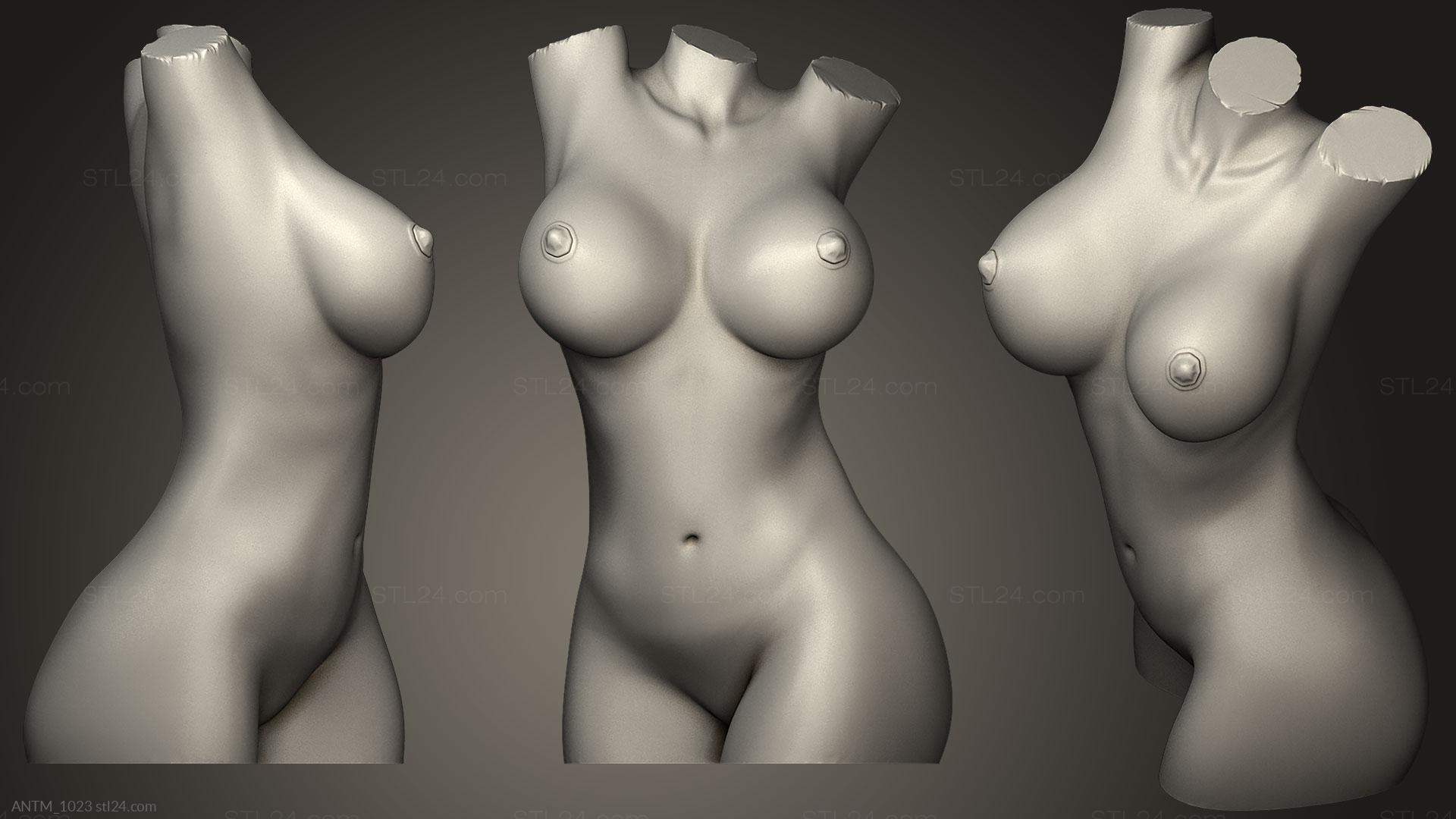 damien curtis add photo nude woman 3d model