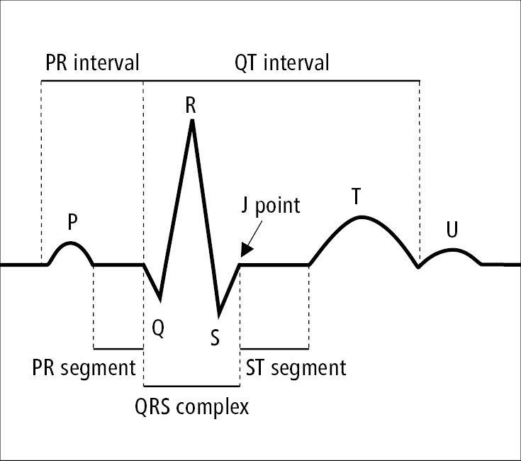 arpita mallick recommends ecg first anal pic