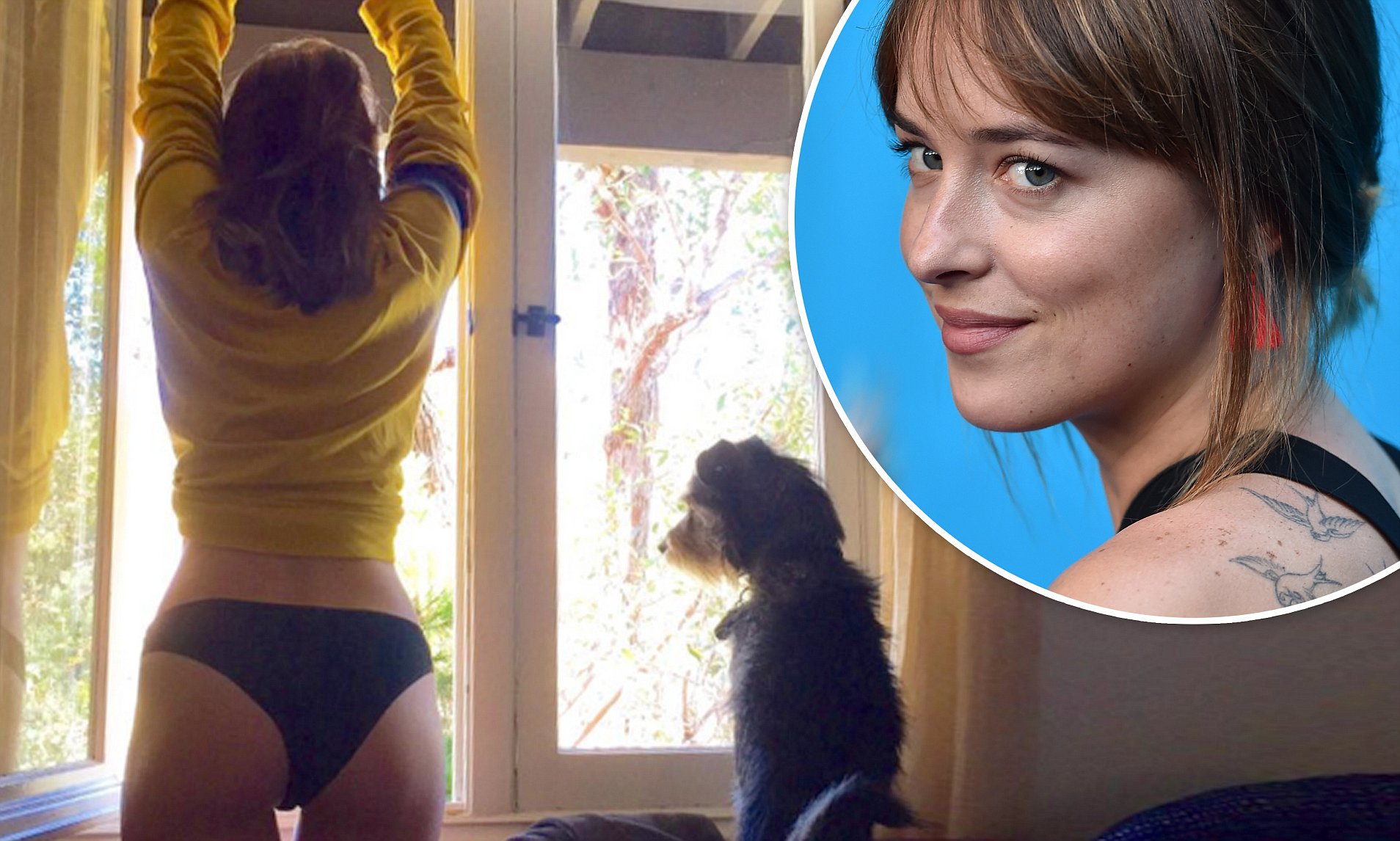 damian hallacy share dakota johnson butt photos