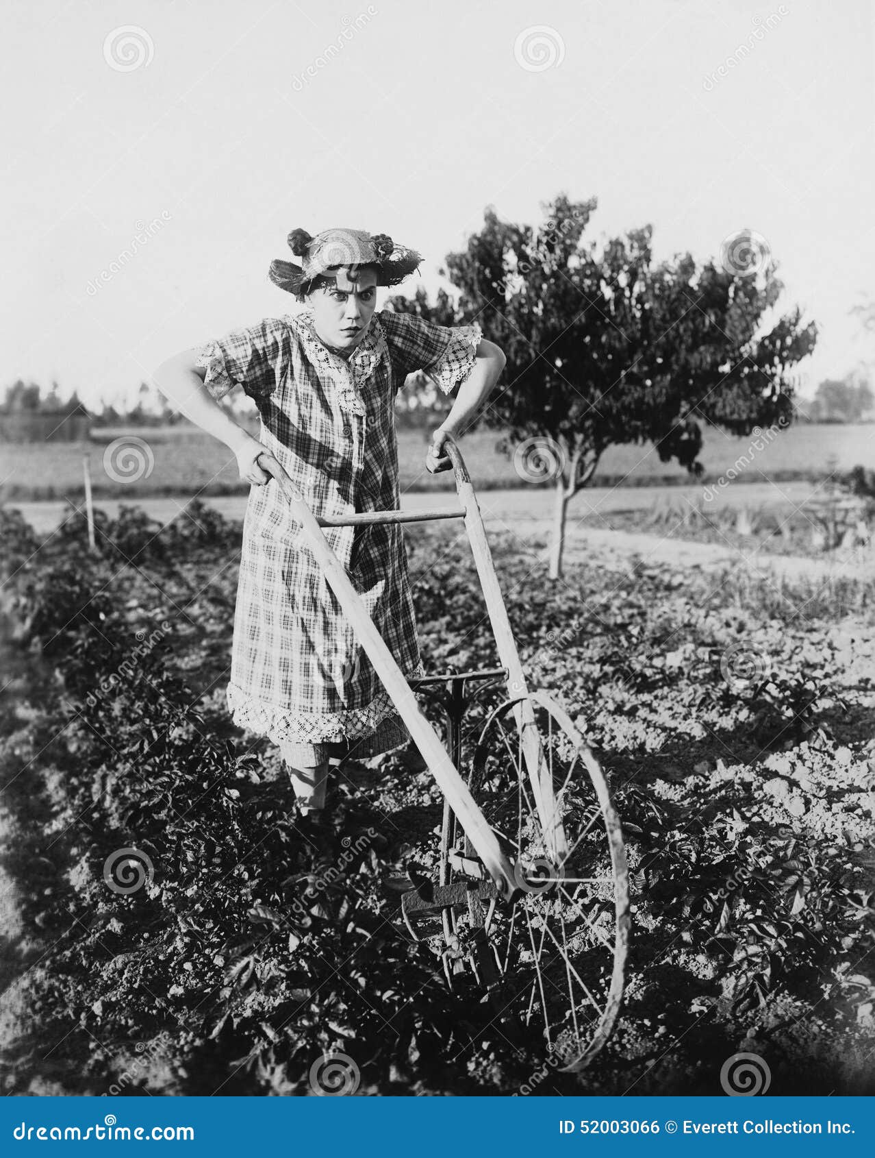 deborah muench recommends Women Getting Plowed