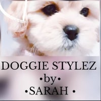 Doggie Stylez en aquitaine