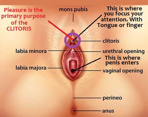 dennis opiyo recommends Her Anus Lies Over A Hard Cock