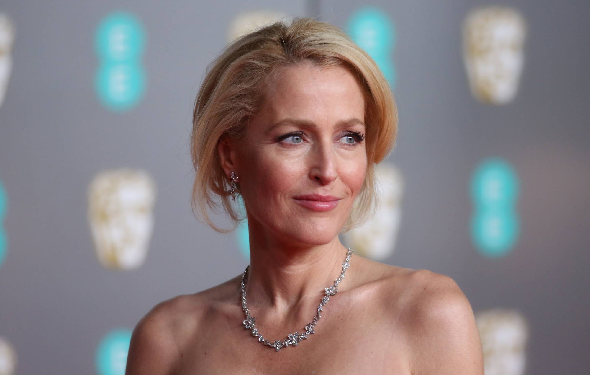 catalina barreto recommends Gillian Anderson Naked Photos