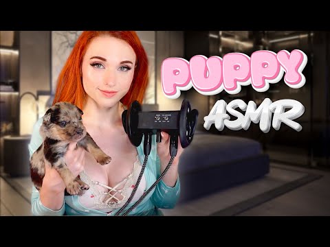 Best of Amouranth doggy