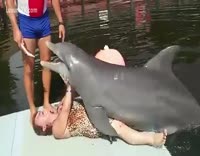 man fucks dolphin