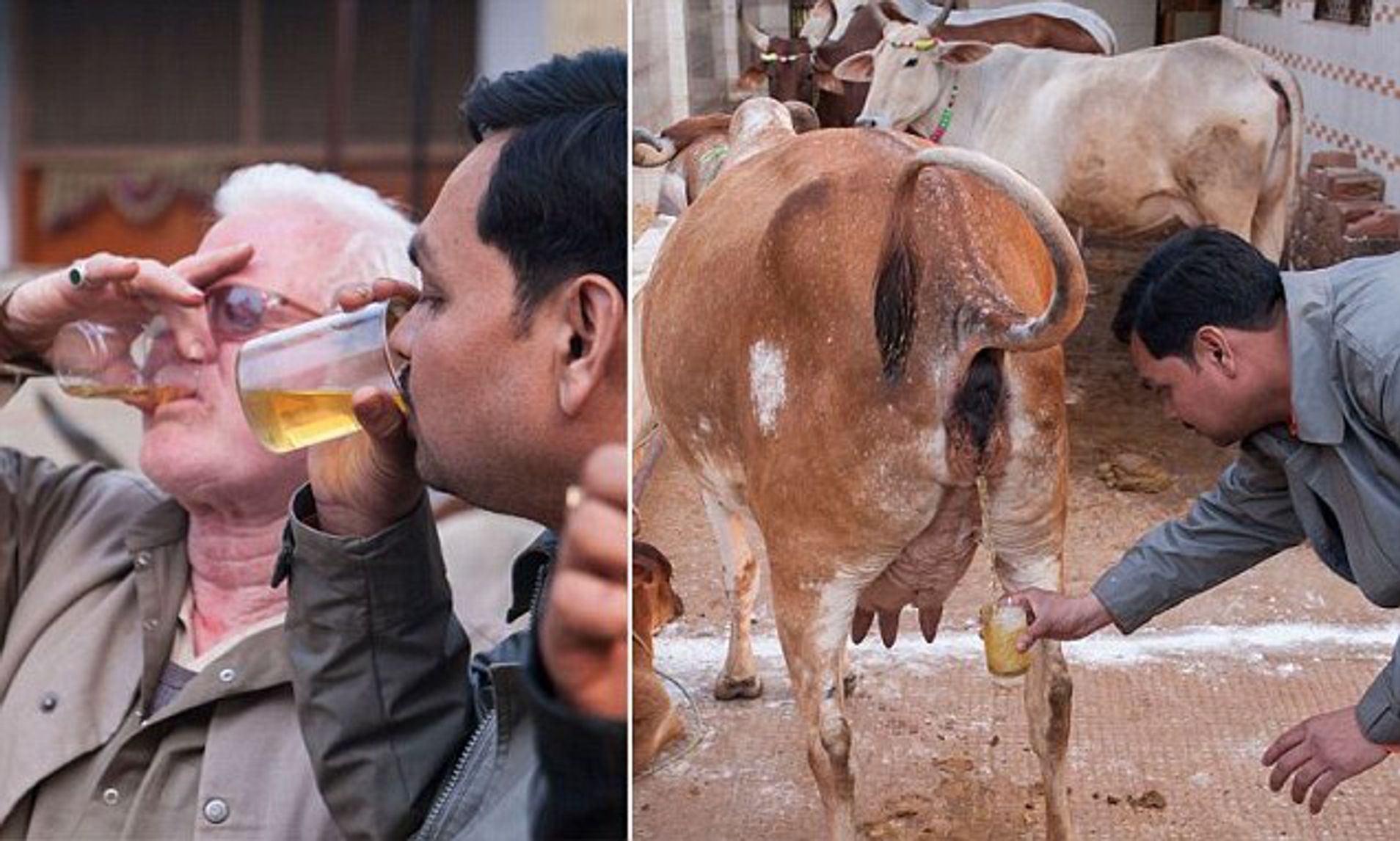 andy kwang recommends piss drink pic