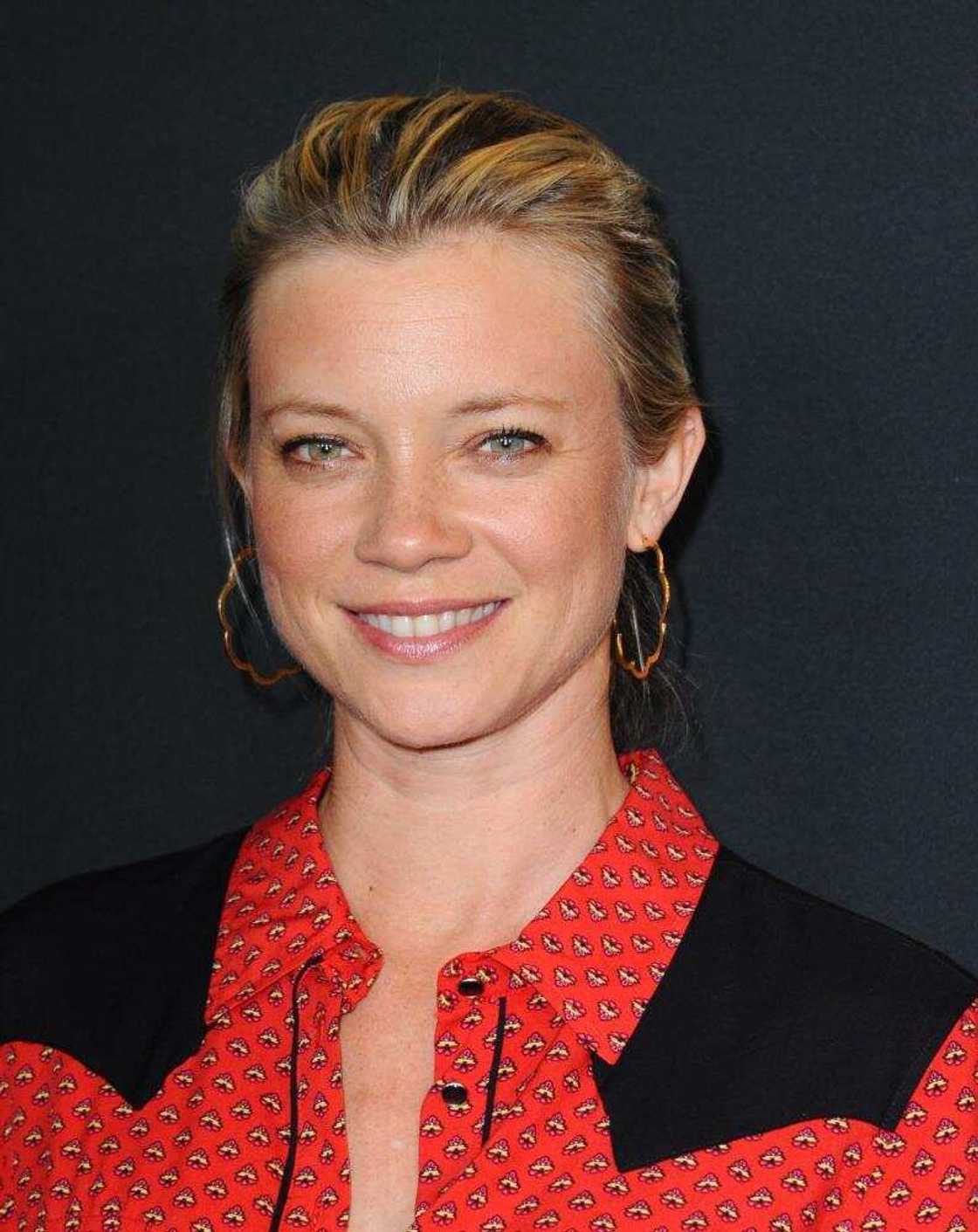 brett hackworth recommends amy smart height pic