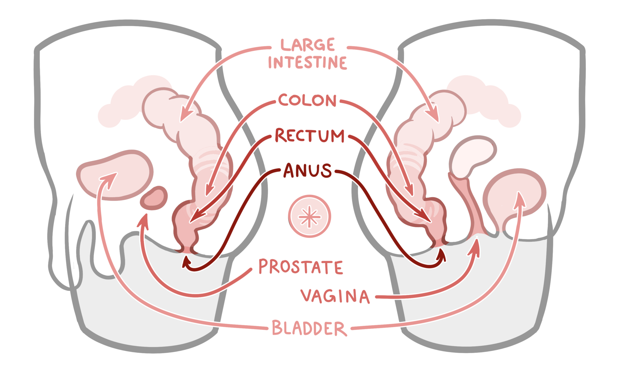 clint goldman share guide to anal fisting photos