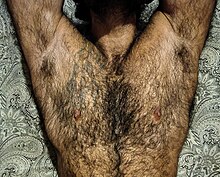 Best of Hairy spread legs