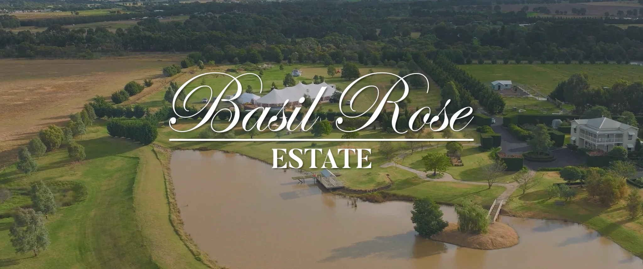 brooke tasler recommends Basil Rose