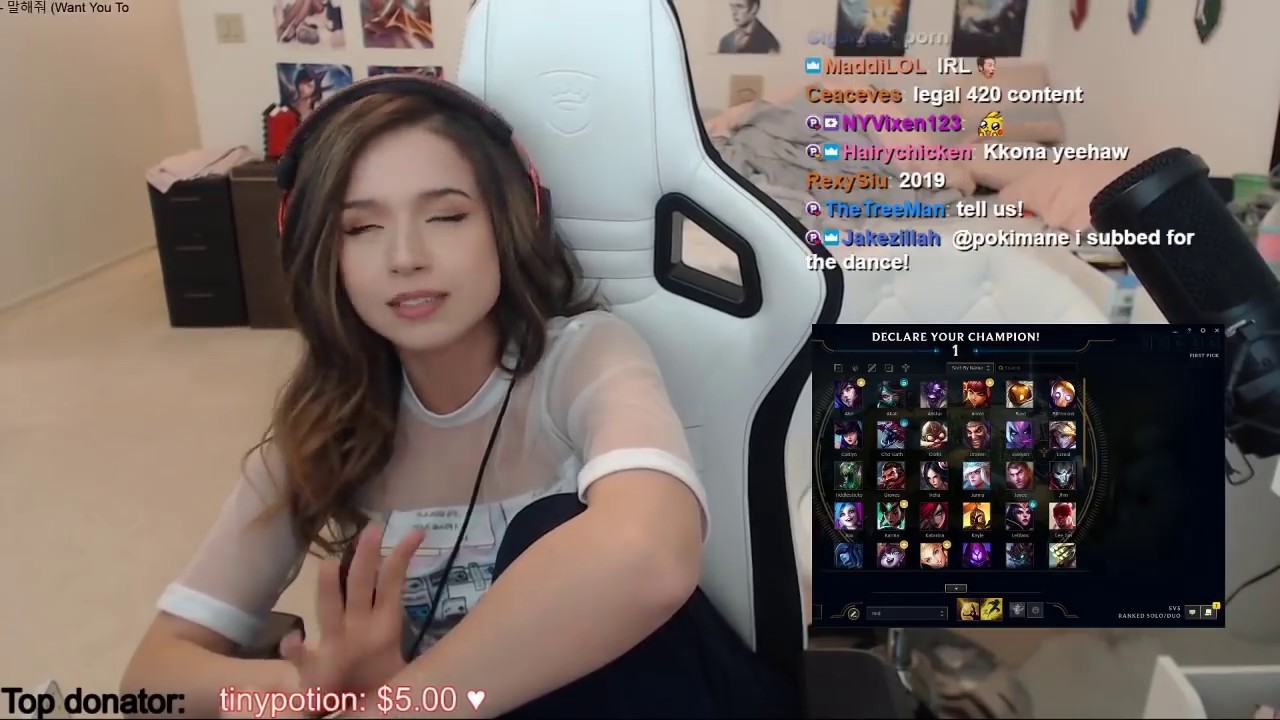 dana reed recommends pokimane panties pic