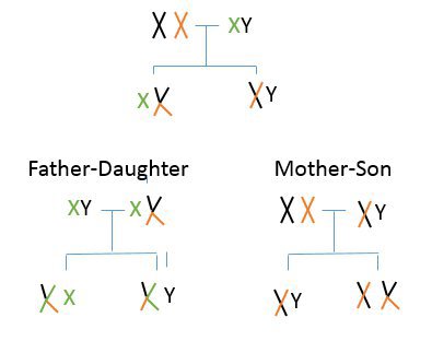 Best of Mom bred by son