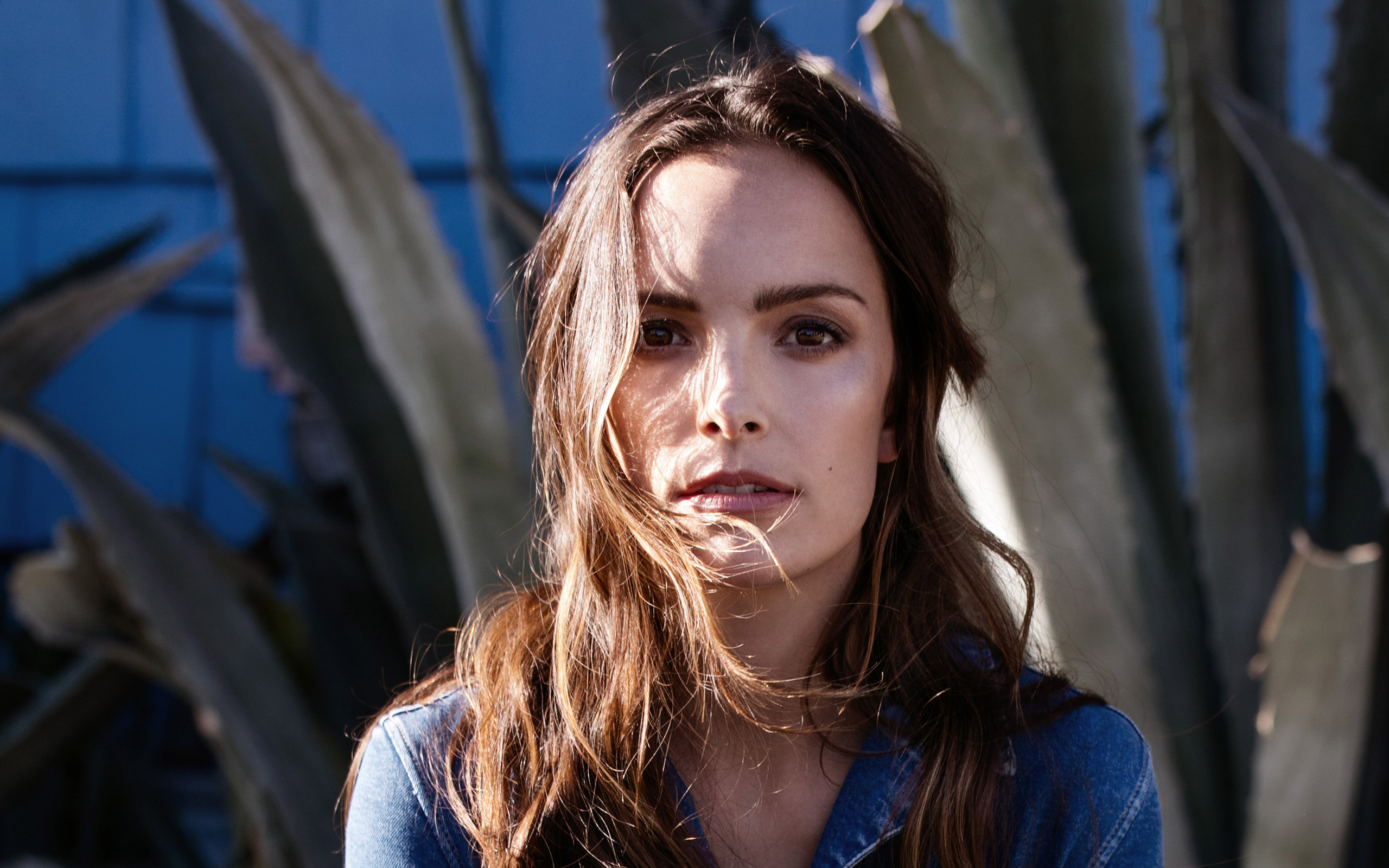 andy gundersen recommends Jodi Balfour Hot