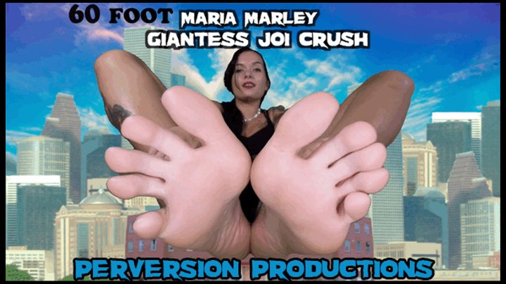 adam hyla recommends Giantess Joi