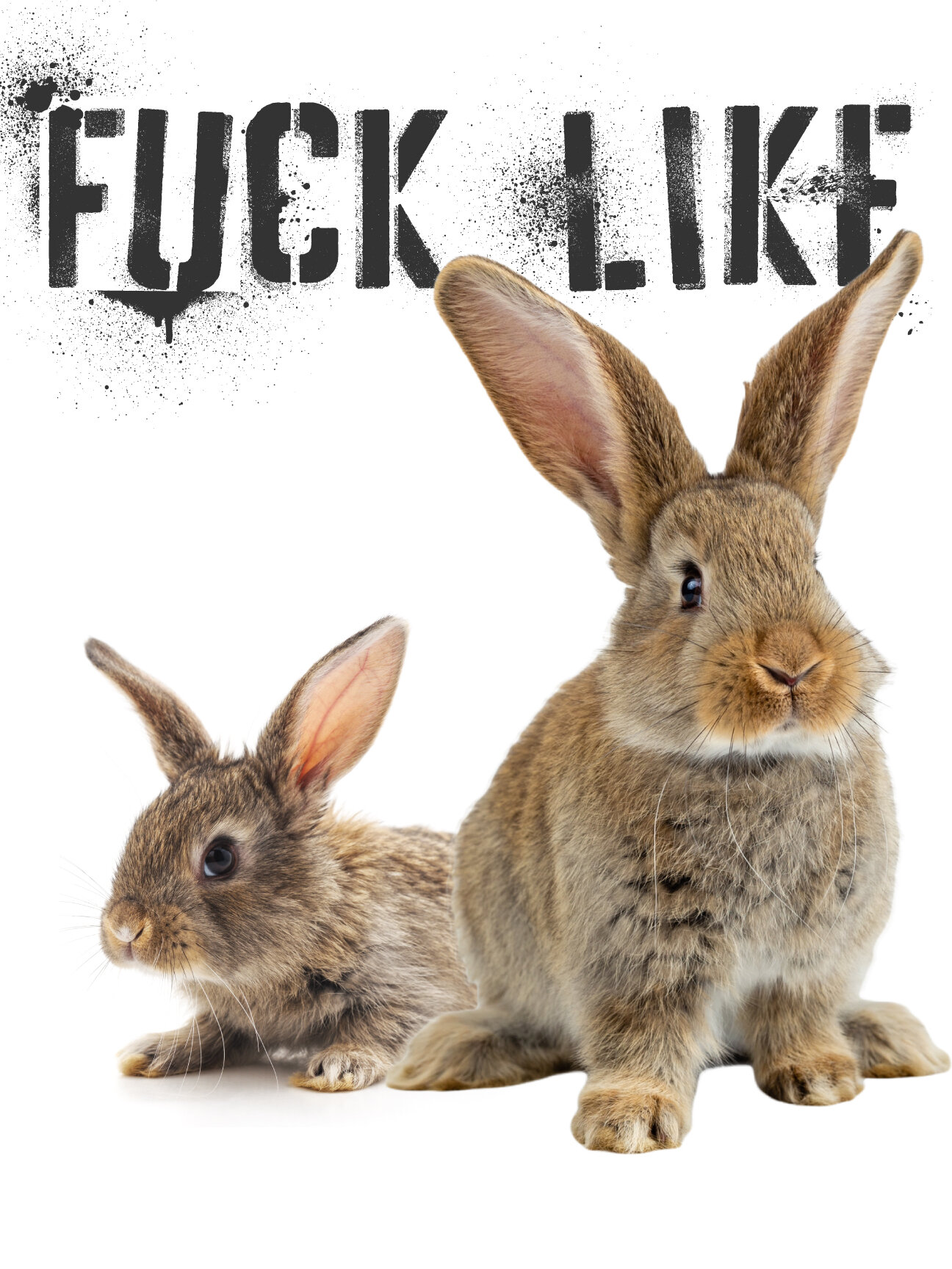 cynthia morissette recommends Fucking Like Rabbits