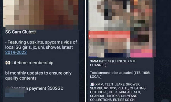 chinese porn telegram