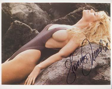 damein davis recommends shannon tweed lingerie pic