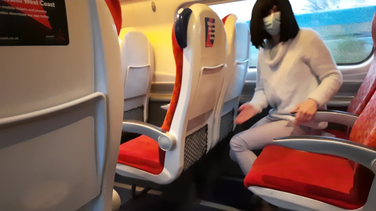 dick flash in train