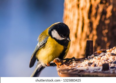 dave lancaster add massive black tit pics photo