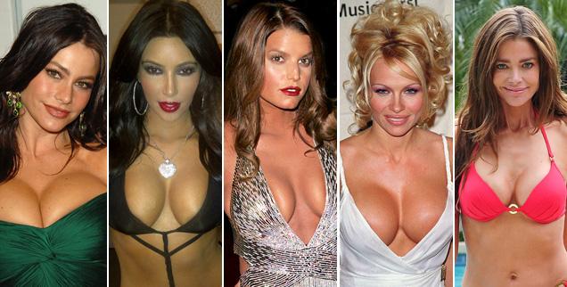 antonia collins recommends best playmate boobs pic