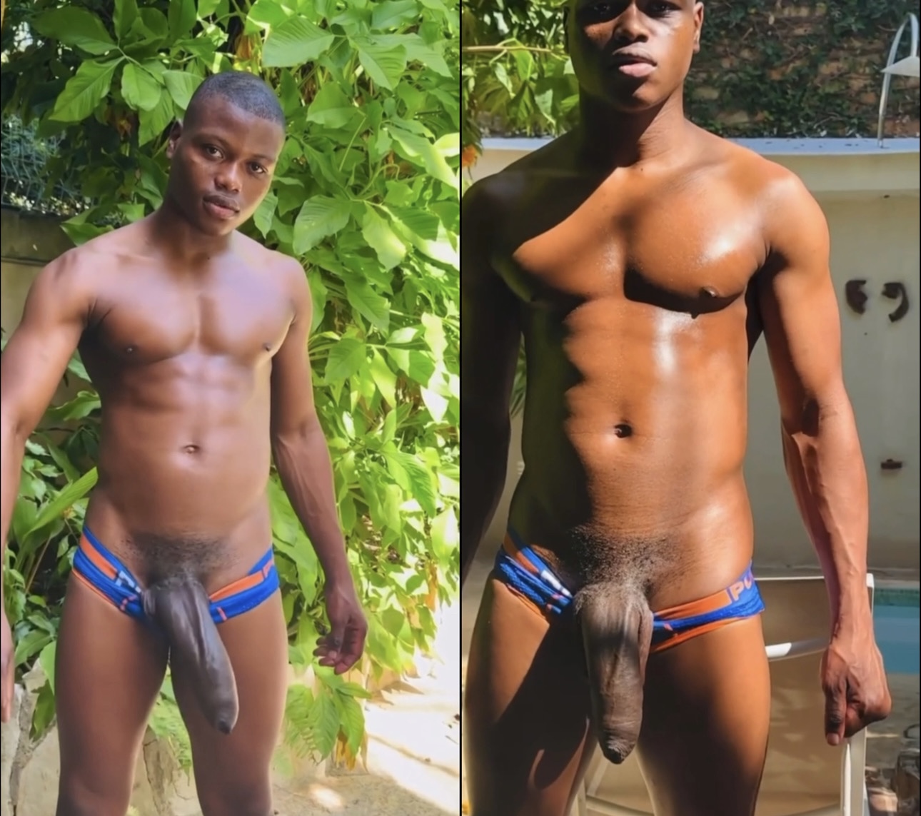 archer wong share big dominican cocks photos