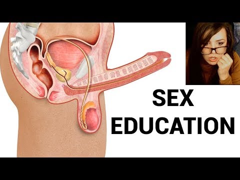 educational sex videos