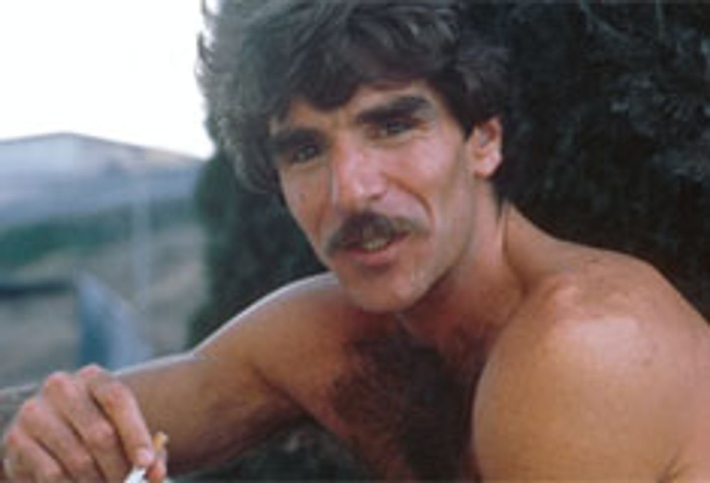 benny donald recommends Harry Reems Nude