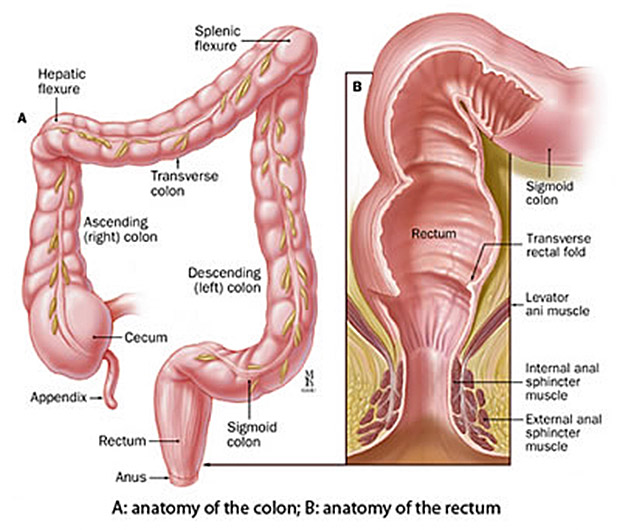 Best of Guide to anal fisting