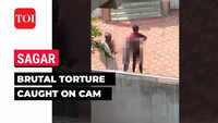 carol wiegand add extreme torture videos photo