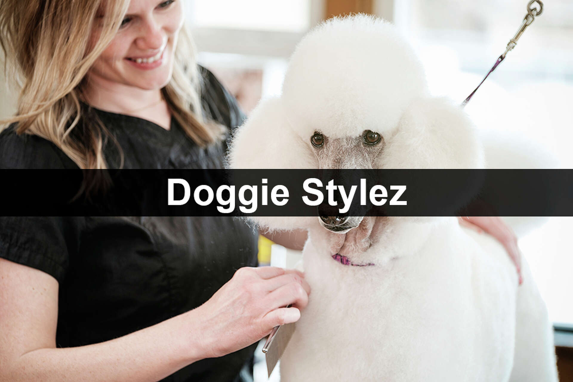 carly ladouceur recommends Doggie Stylez