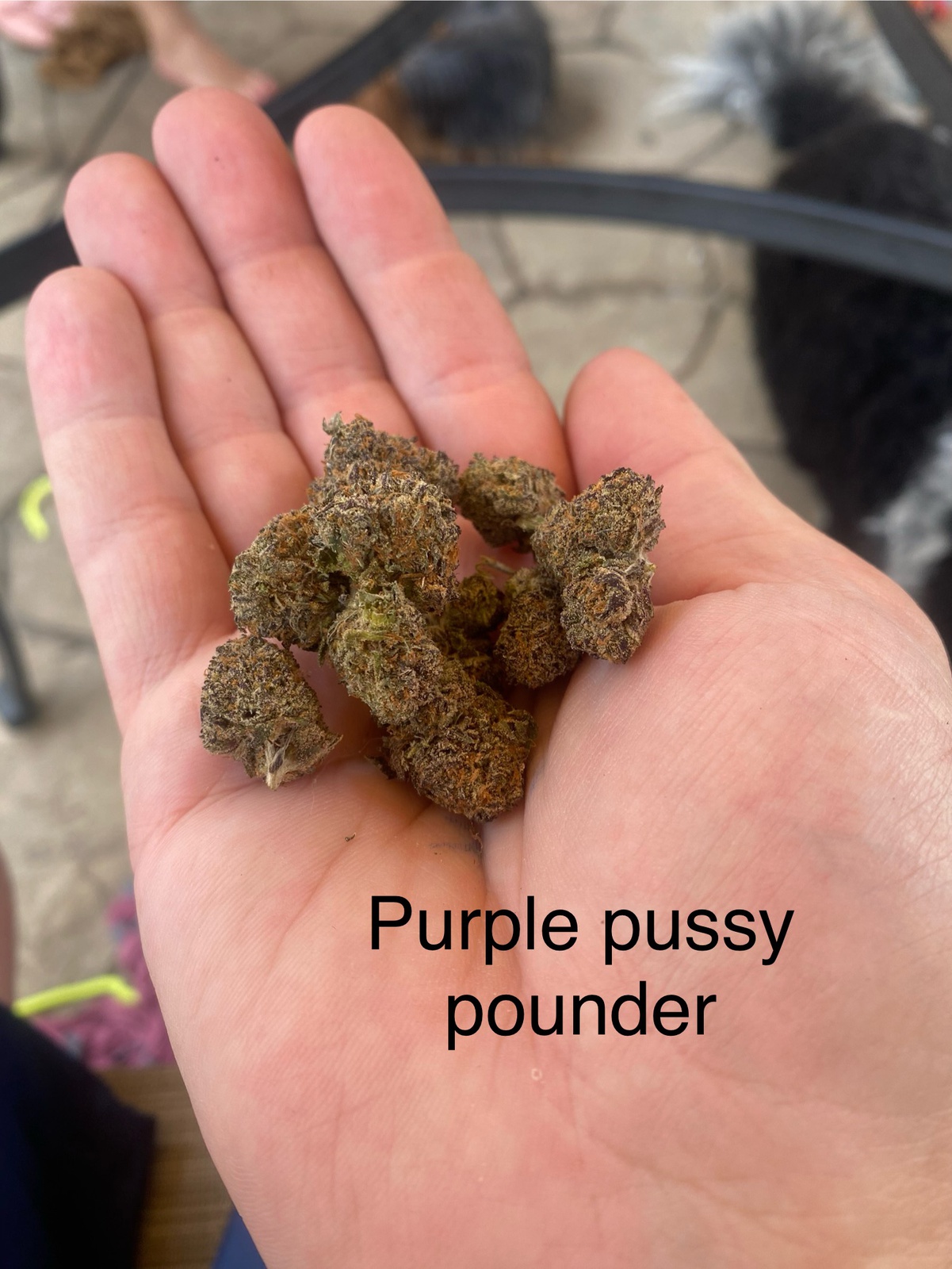 danial rauf recommends purple pussy pic