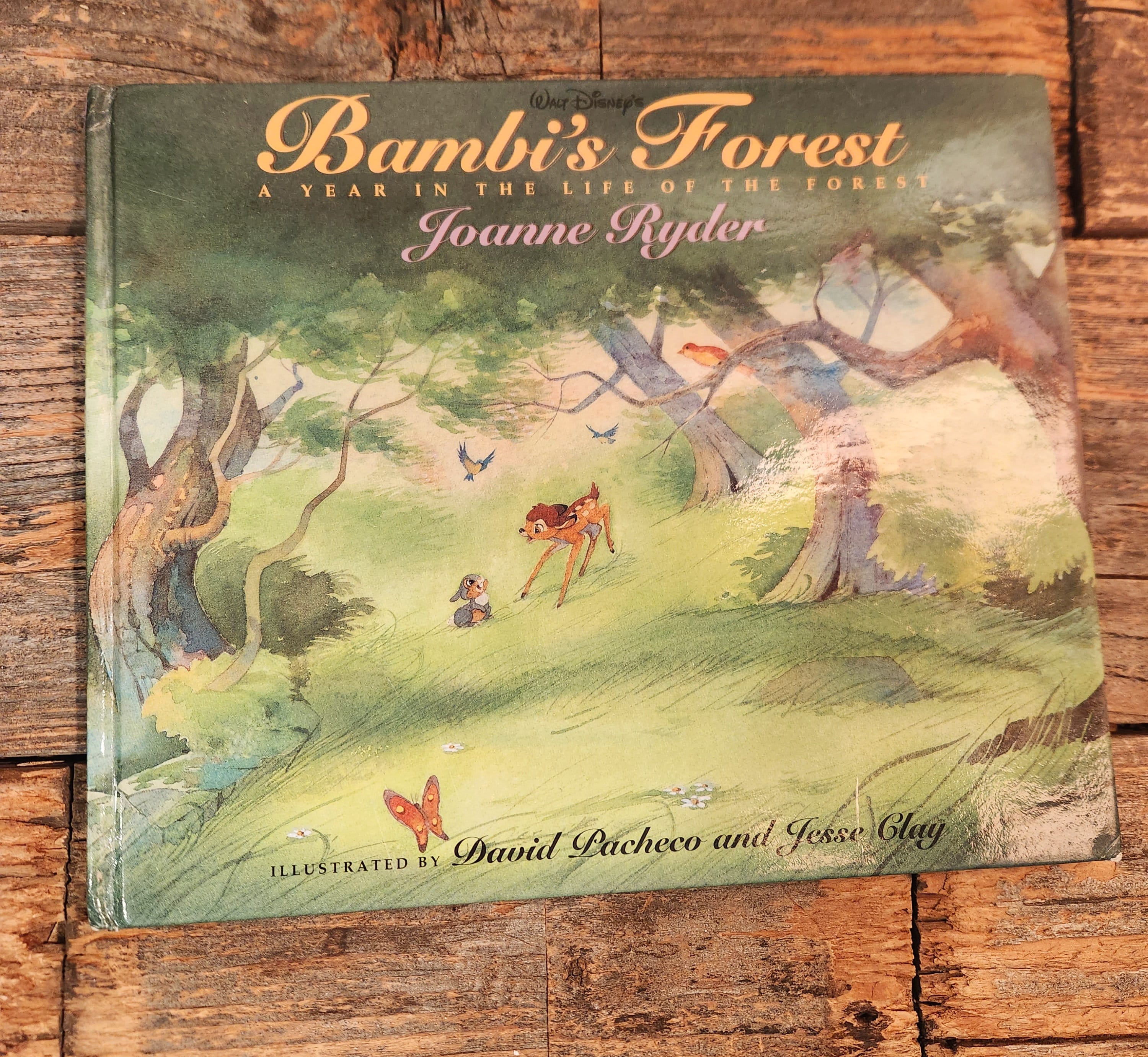 alyson mackenzie add bambiis forest photo