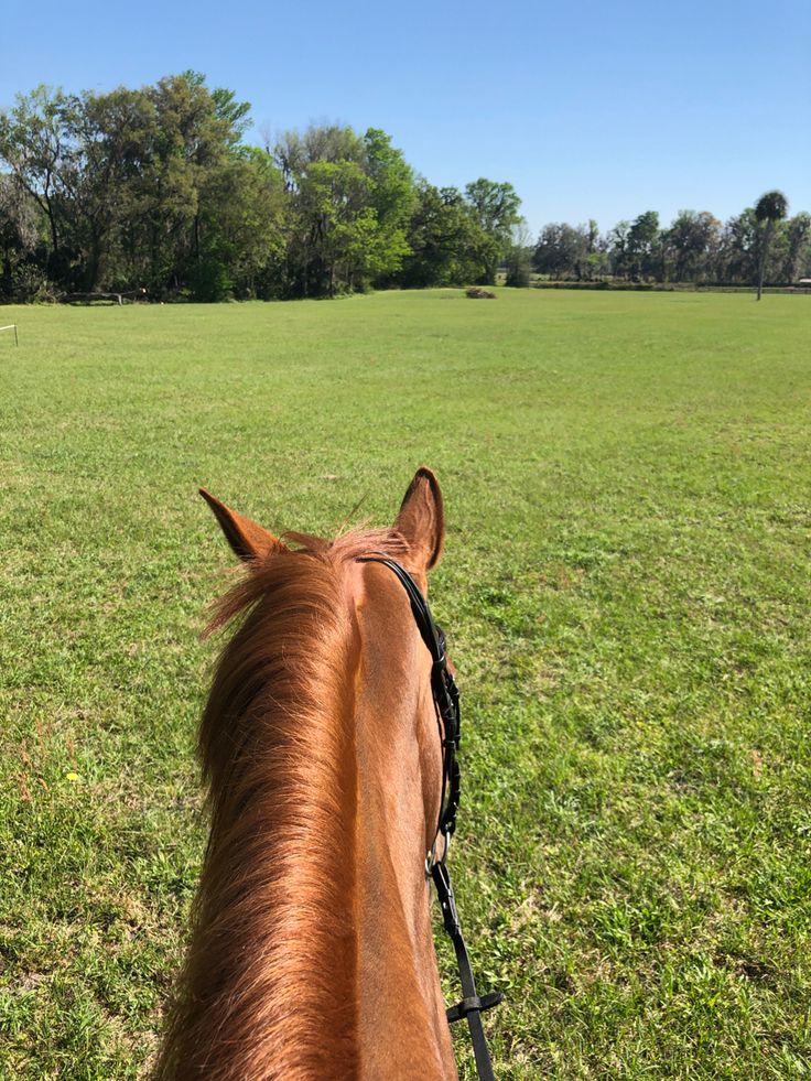 pov riding