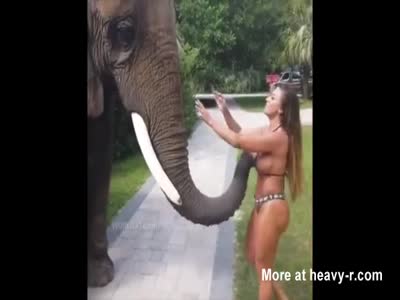 aditya garimella recommends elephant cumshots pic