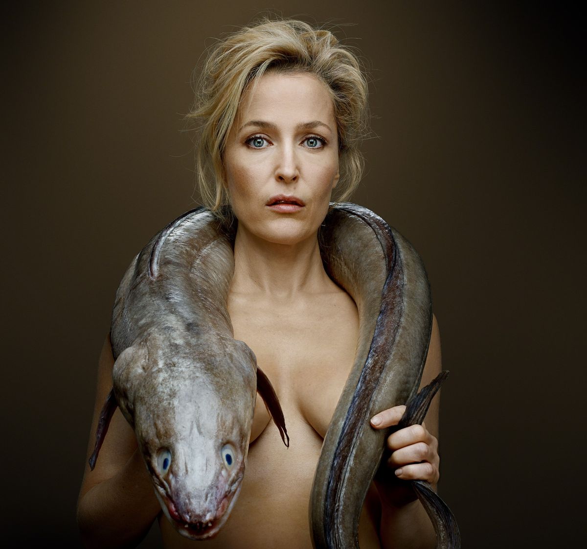 cheryl aguilar recommends Gillian Anderson Nude Pics