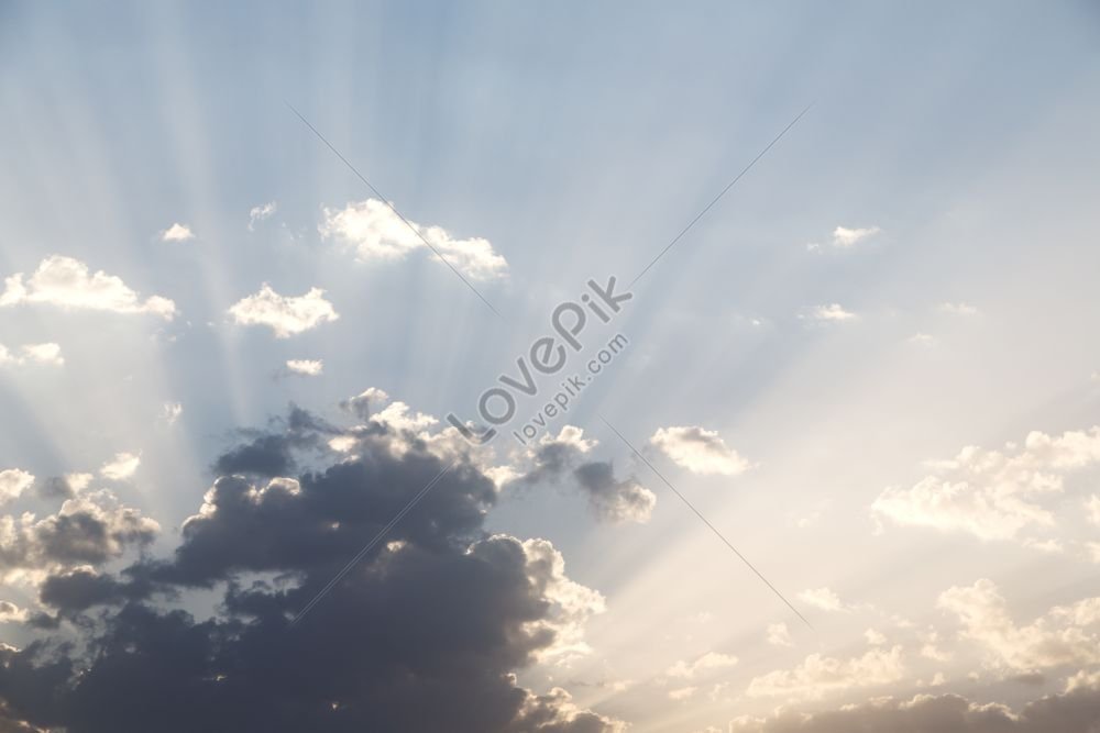 sunny ray of