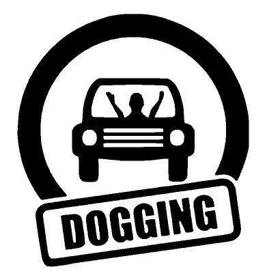 ayman george recommends dogging car pic