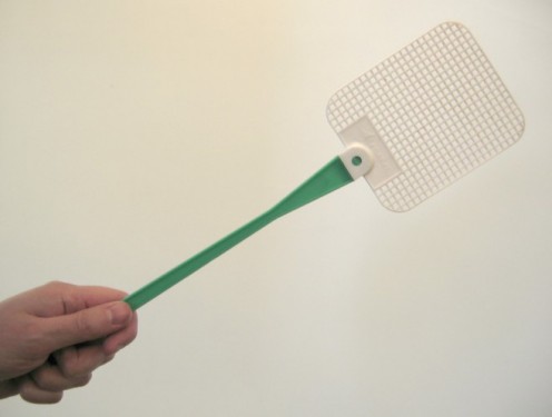 carlou selorio recommends fly swatter spanking pic