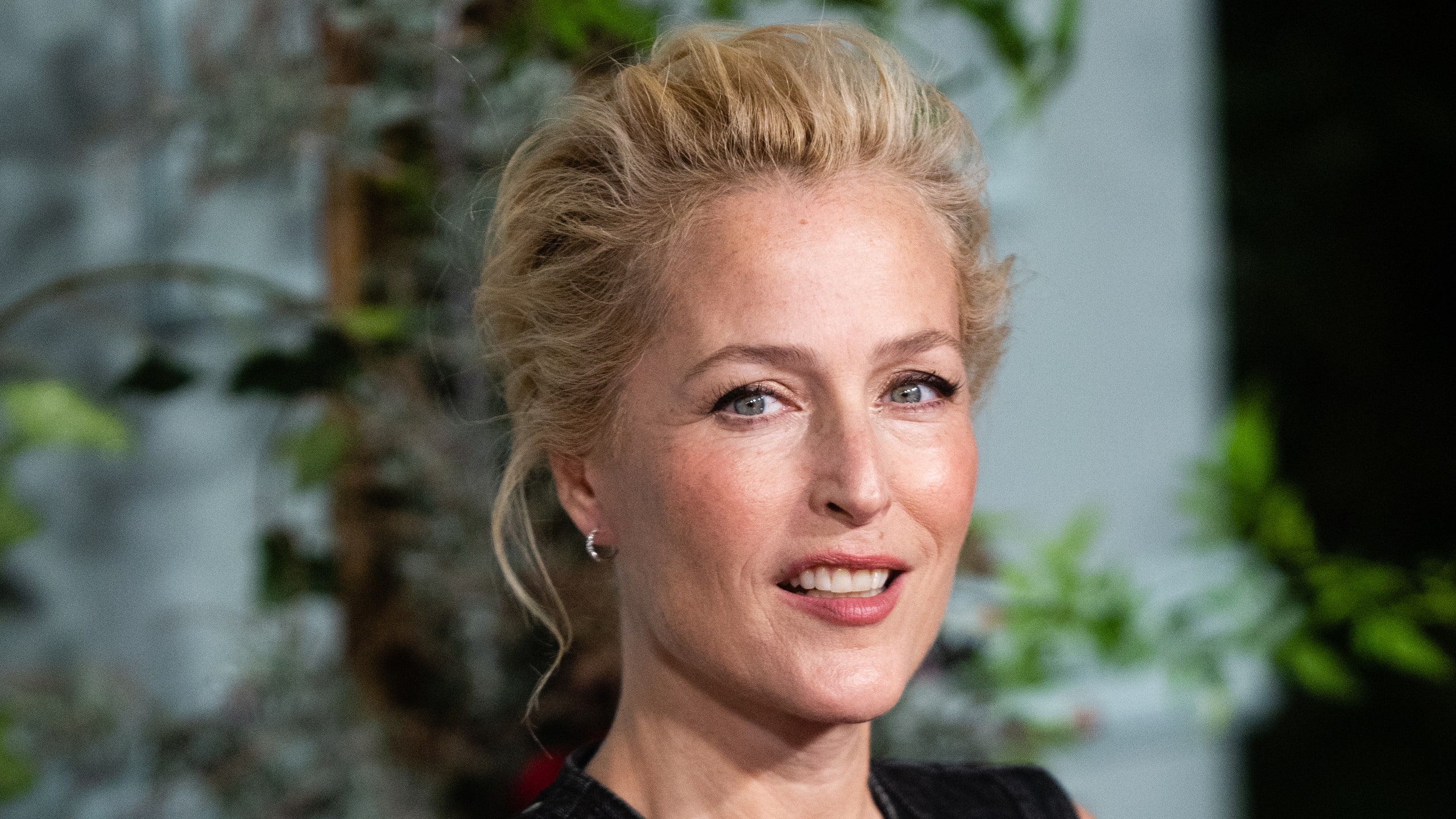 aina vasquez recommends Gillian Anderson Pron