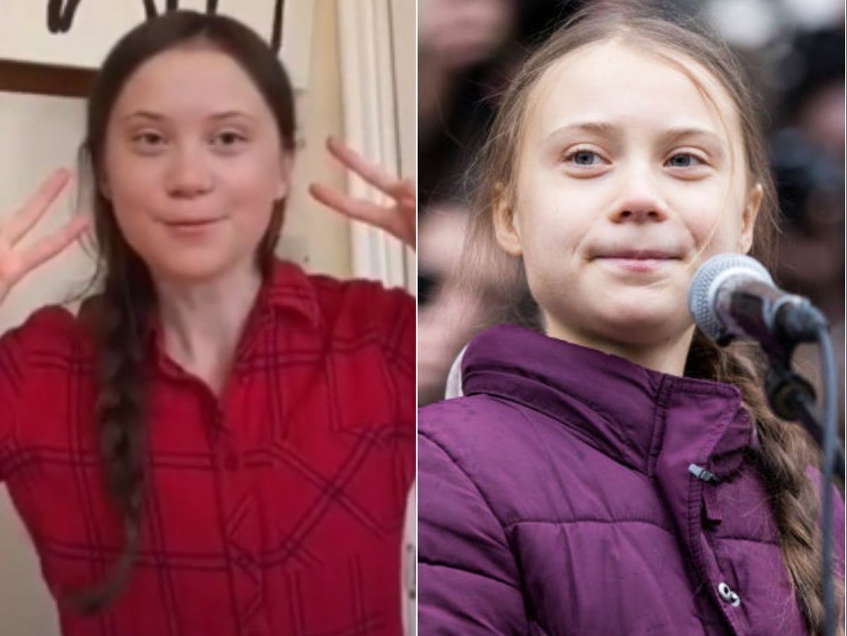 daniel bedel add photo greta thunberg deepfake