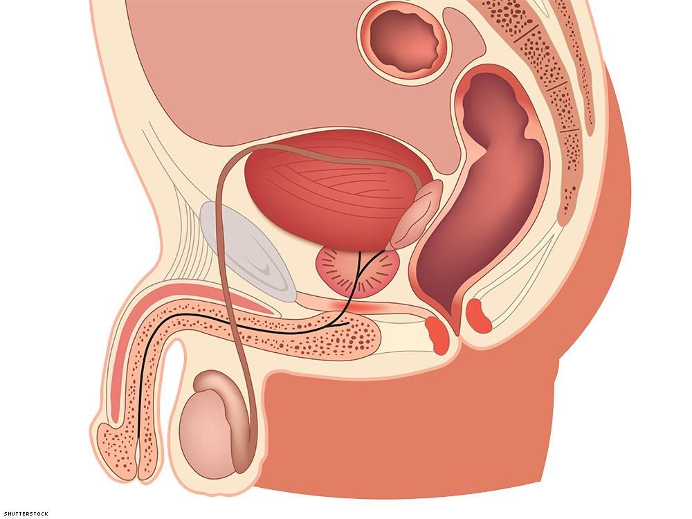 bryan butsch recommends guide to anal fisting pic