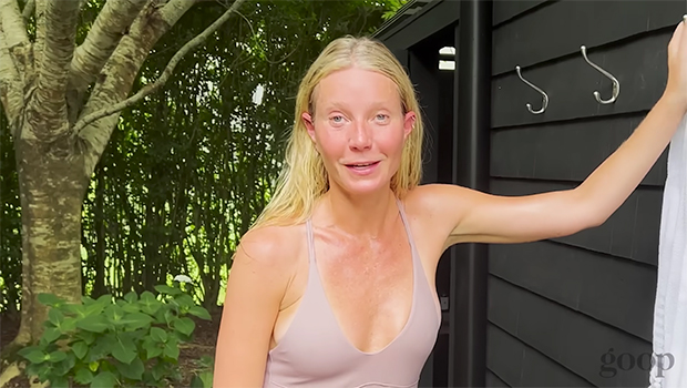 barbie walton recommends gwyneth paltrow nude photos pic