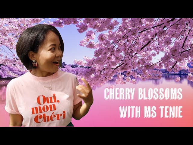 ms cherry blossoms