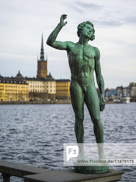 naked men of sweden